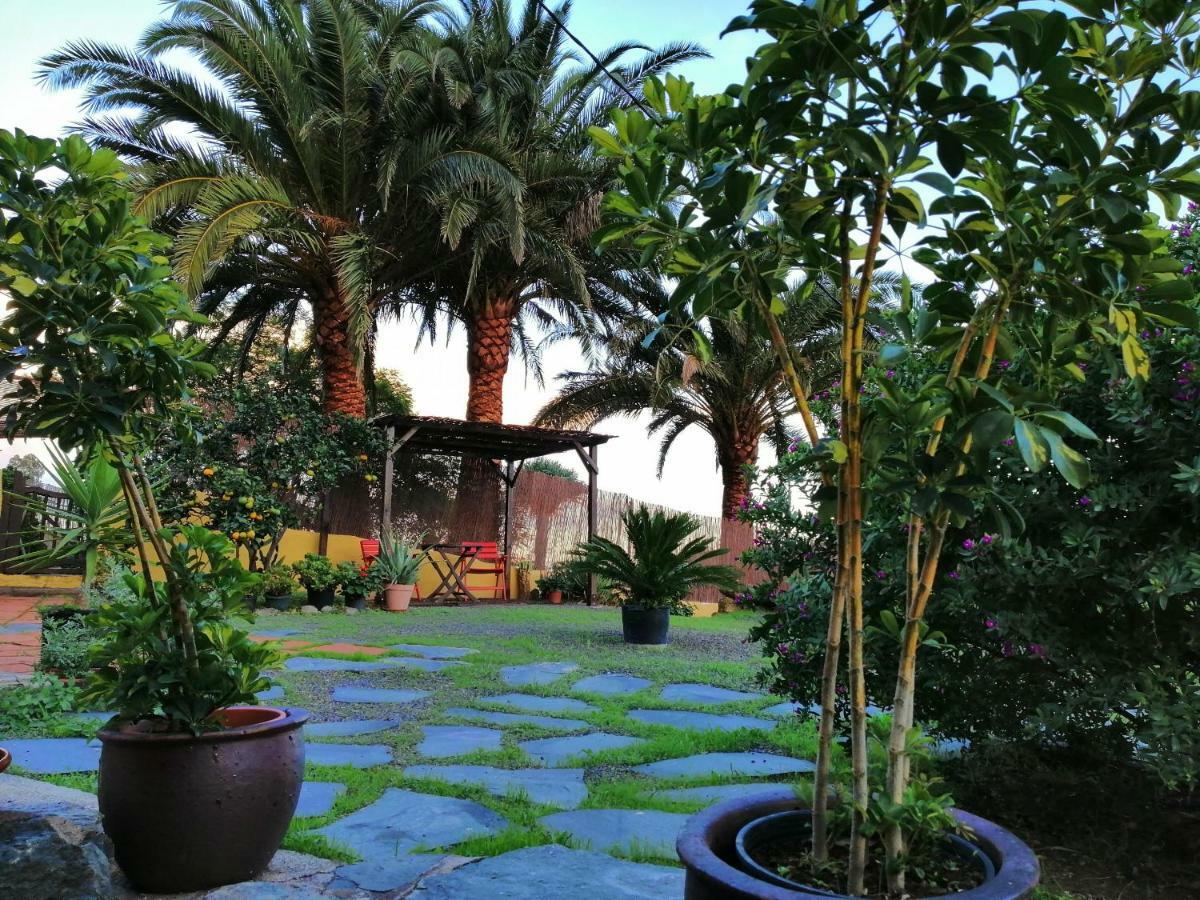 Vivelorural Casa La Cuevita, Santa Brigida מראה חיצוני תמונה